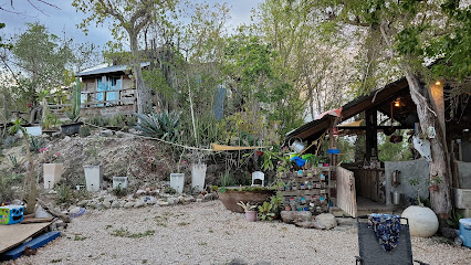 Habitat