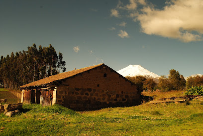 Hotel Endamo