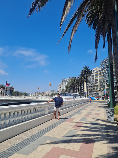 Viña del mar Chile