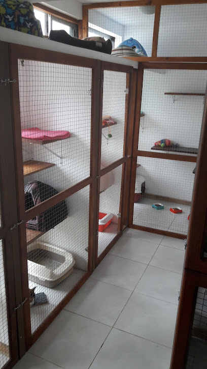 Hotel Para Gatos, Ciudad de la Costa