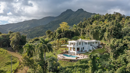 WALD HAUS by DW, Ceiba