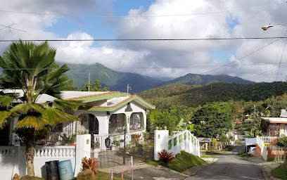 Apartments on The Mountain, Ceiba
