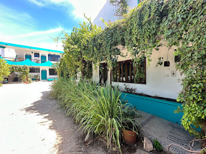 CABO BOHEMIA Tropical Garden Studios
