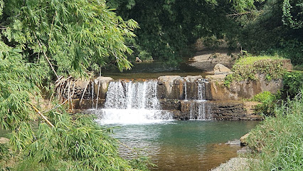 Montoso, Mayaguez