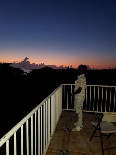 The White House, Manatí