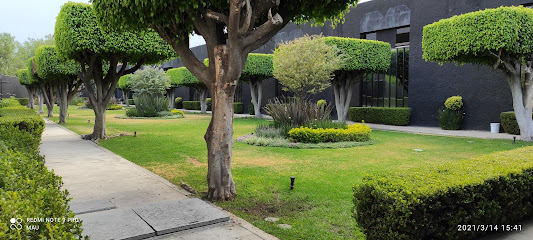 Motel Picasso Circuito, Techo