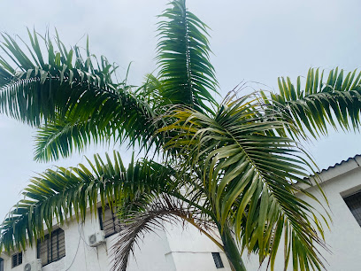 Cartagena Kings Hostel, Cartagena Cerca del Aeropuerto