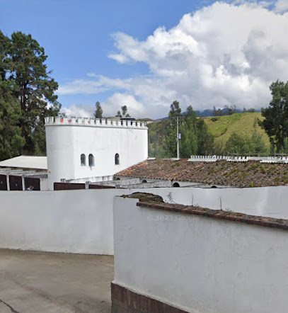 Motel Girasoles, Pasto